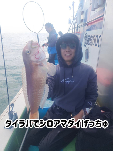 シロアマダイの釣果