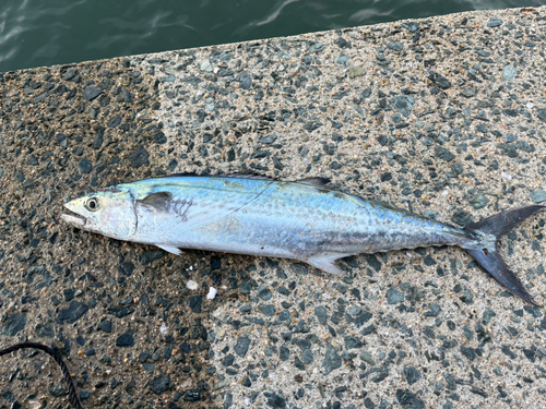 福の浦漁港