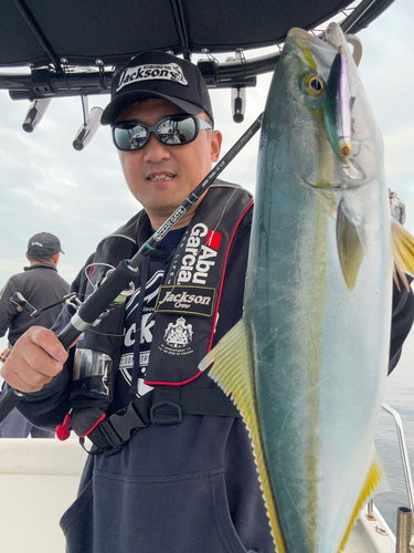 ハマチの釣果