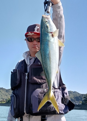 ハマチの釣果