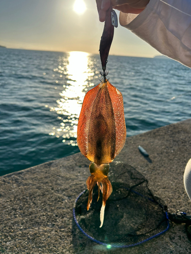 地島（宗像）