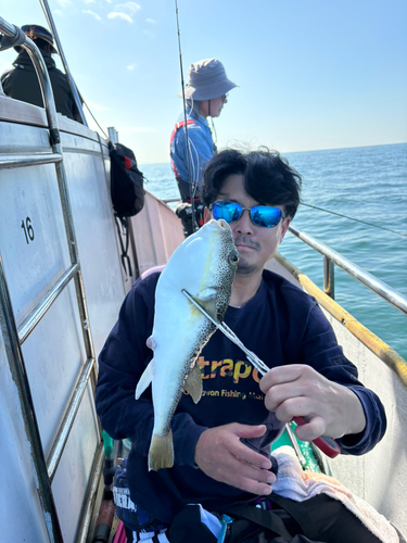 ショウサイフグの釣果