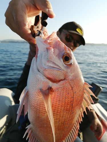 和田長浜