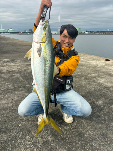 ブリの釣果