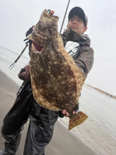 ヒラメの釣果