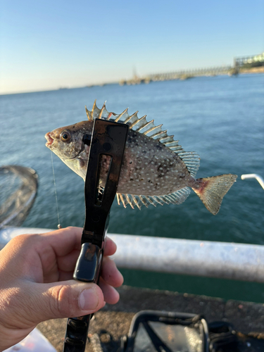 霞釣り公園