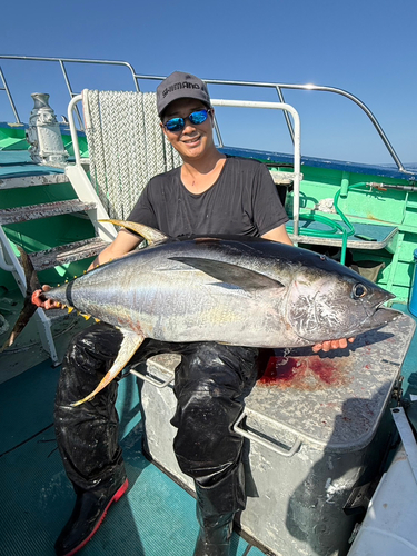 キハダマグロの釣果