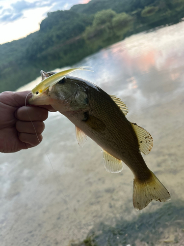 釣果