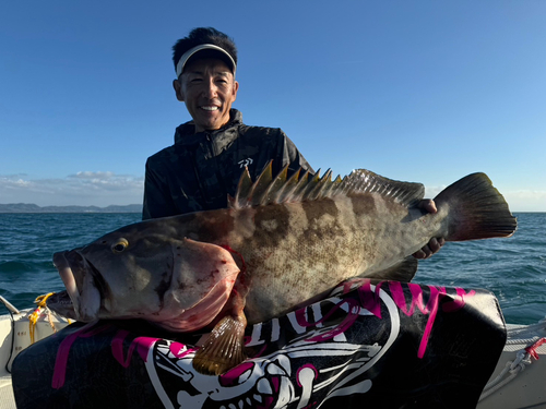 クエの釣果