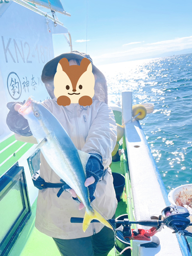 イナダの釣果