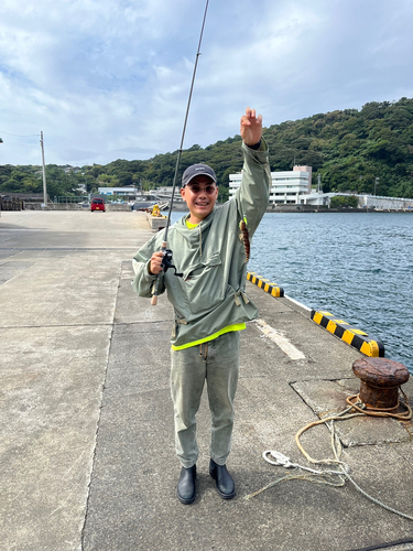 エソの釣果