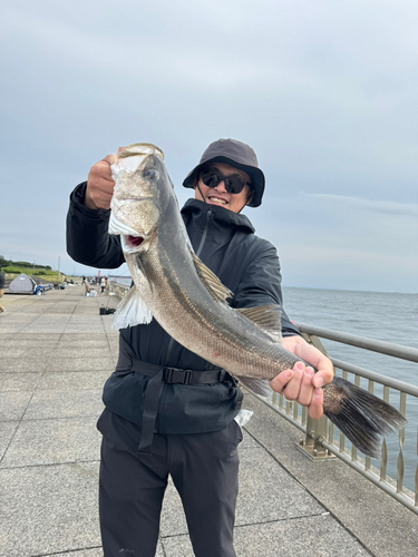 東扇島西公園