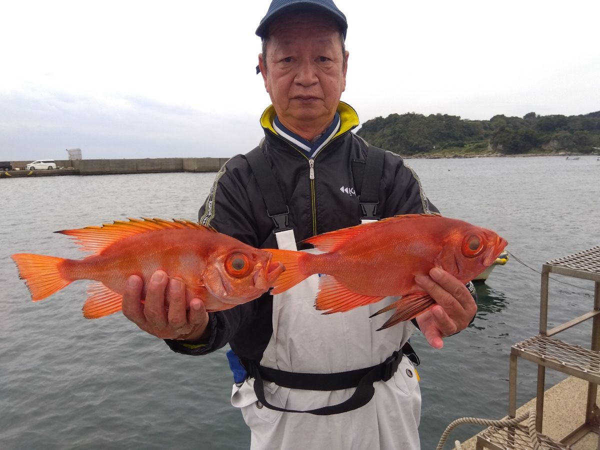 せどおと丸さんの釣果 3枚目の画像