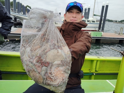 マダコの釣果