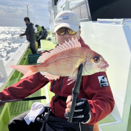 マダイの釣果