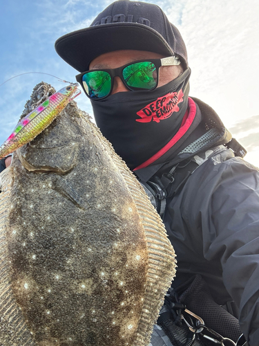 ヒラメの釣果