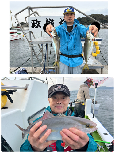 マアジの釣果