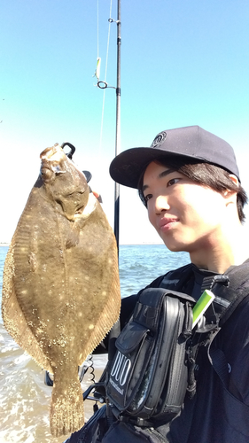 カレイの釣果