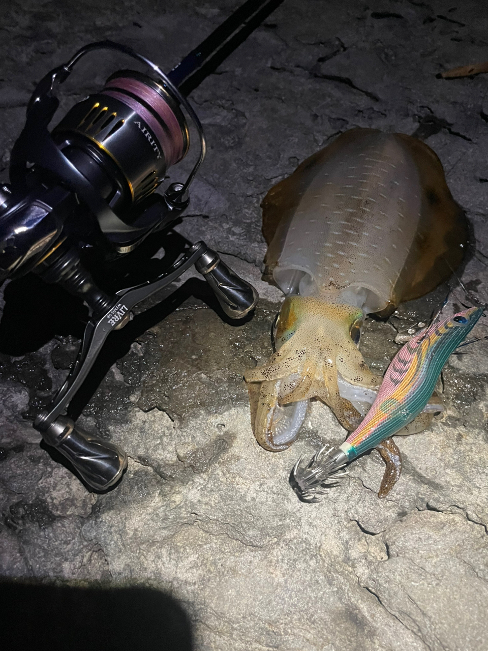 DAIWA 20エメラルダス AIR AGS 78Mの最安値・インプレ・釣果