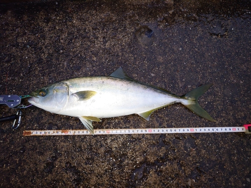 海辺つり公園