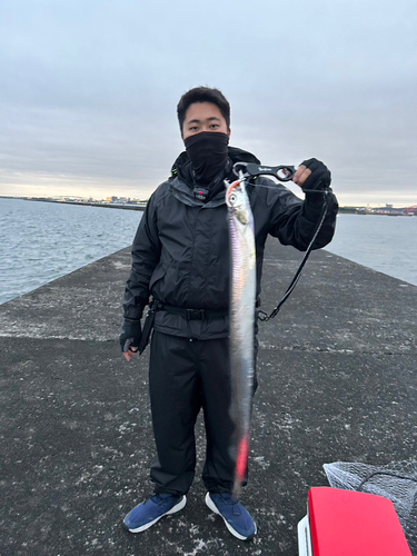 タチウオの釣果