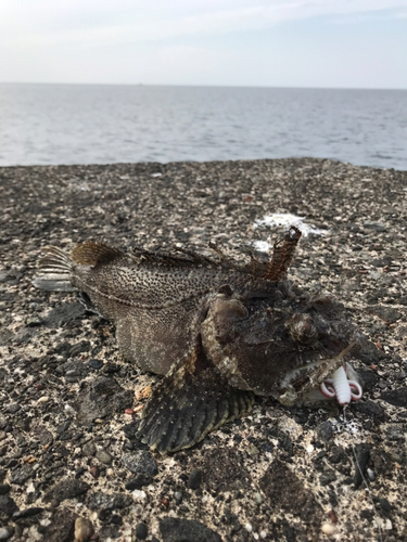 内浦湾（北海道）