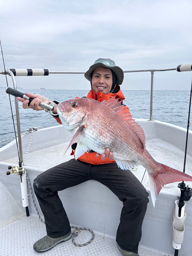 マダイの釣果