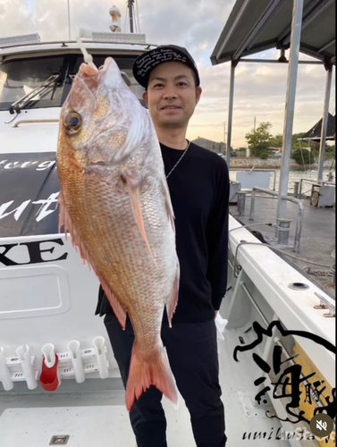 タイの釣果