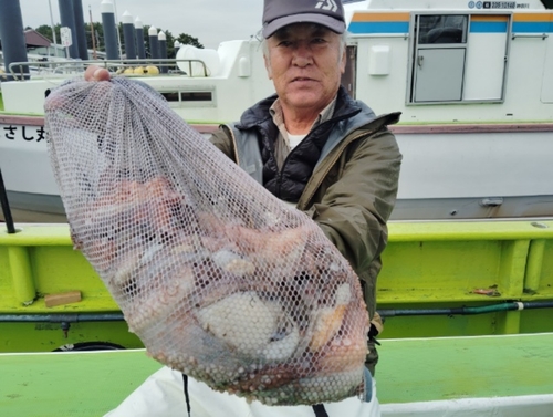 マダコの釣果