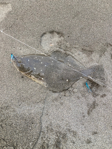 茅ヶ崎海岸