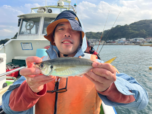 マアジの釣果