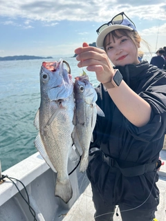 クログチの釣果