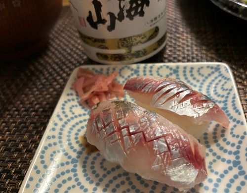 アジの釣果