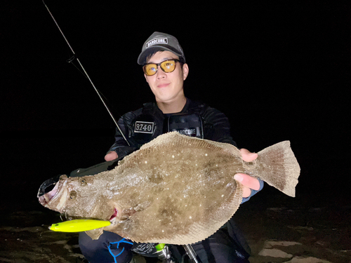 ヒラメの釣果