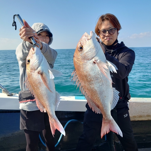 マダイの釣果