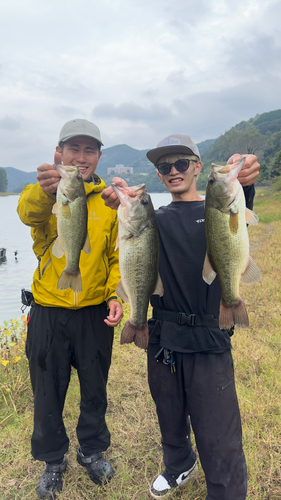 ブラックバスの釣果