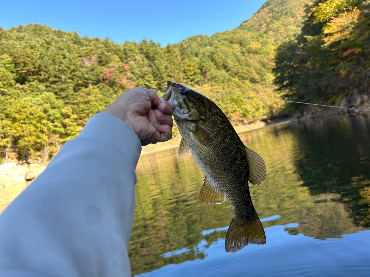 スモールマウスバス