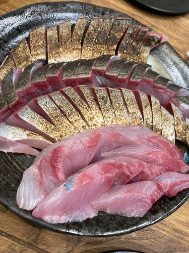 ワカナゴの釣果