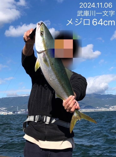 メジロの釣果