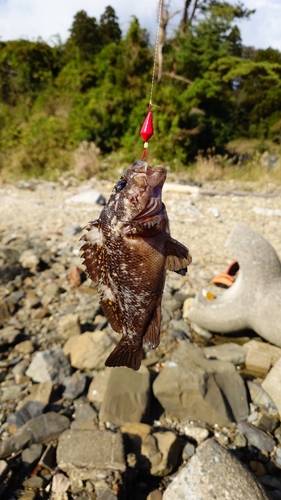 大島瀬戸