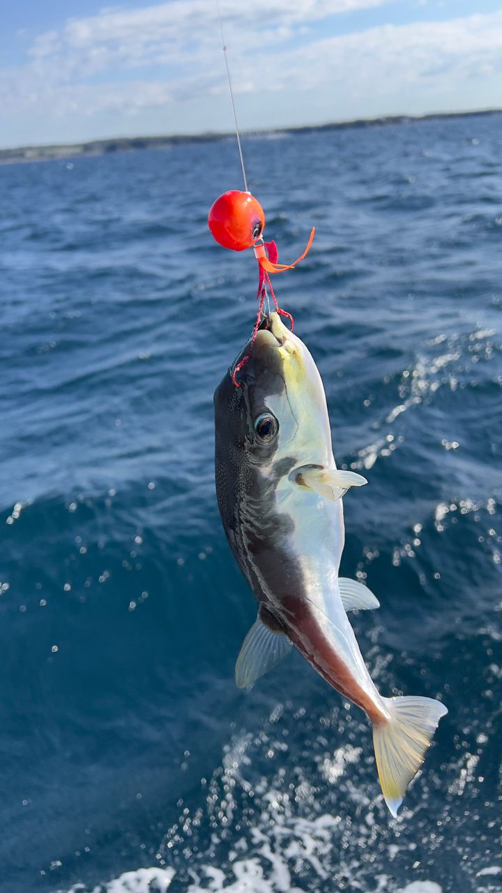 拓斗丸さんの釣果 2枚目の画像