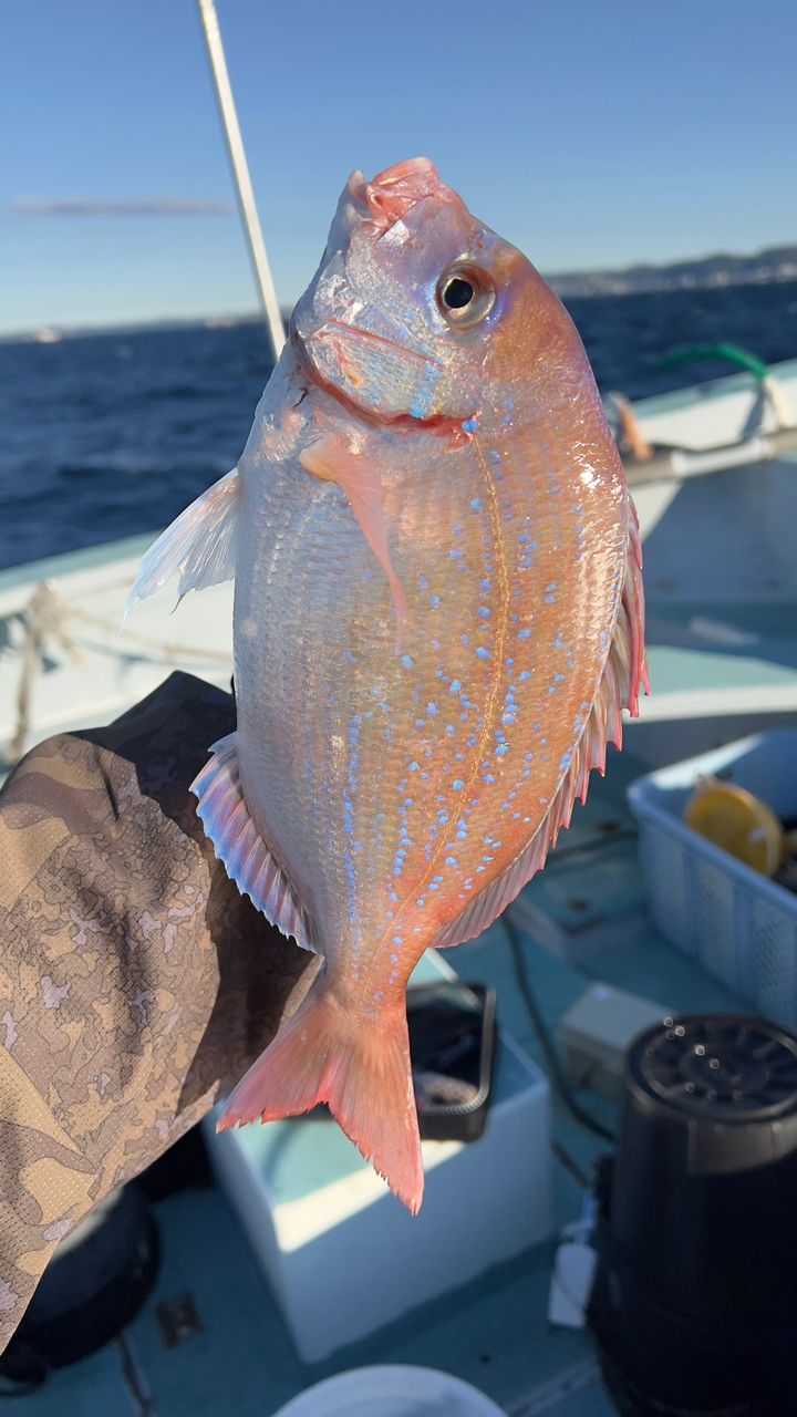 拓斗丸さんの釣果 1枚目の画像