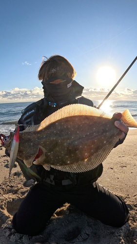 ヒラメの釣果