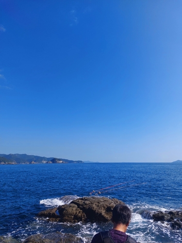 イシダイの釣果