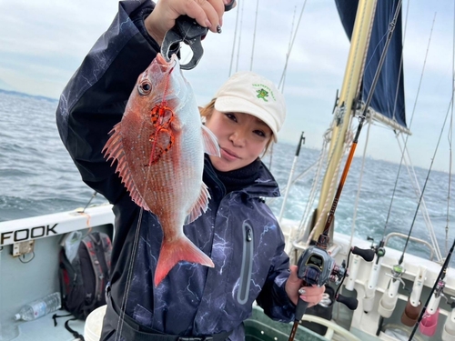 マダイの釣果