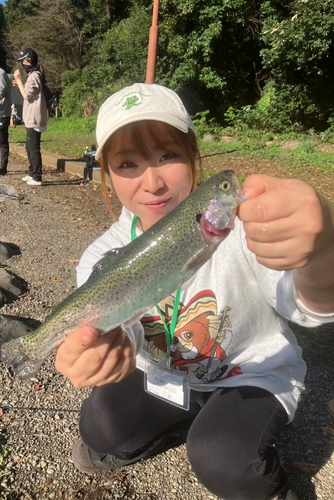 ニジマスの釣果