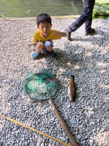 ニジマスの釣果