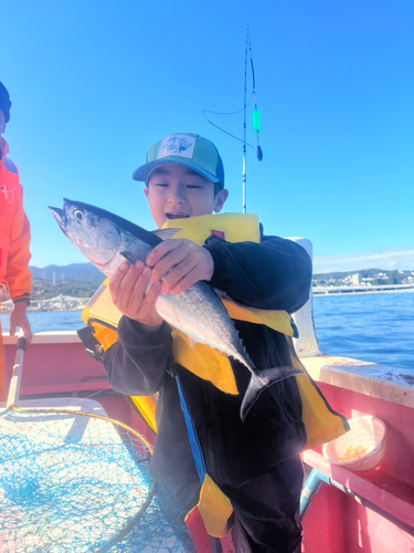 ソウダガツオの釣果