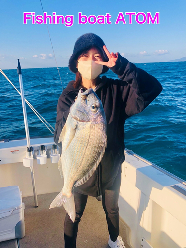 マダイの釣果