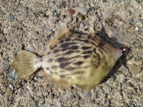 海辺つり公園